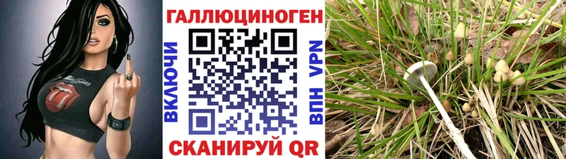 Псилоцибиновые грибы GOLDEN TEACHER  как найти закладки  Вязники 